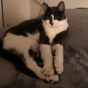 Meet your Posher, Nm